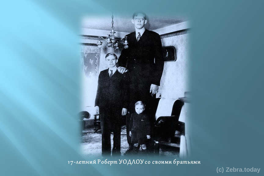 velikan 4