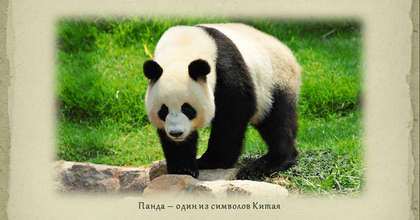 Төрге шығаратын туризм