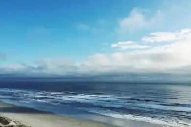 Как большевики хотели уничтожить новогодние елки