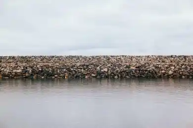 Китайские "интеллектуальные" парники впервые будут поставлены в Казахстан
