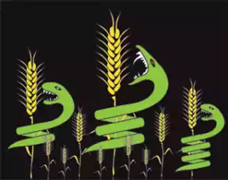 Субподрядчик глобальных организаций