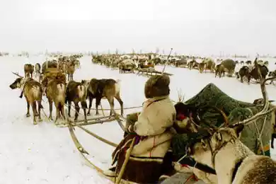 Языце, супостате