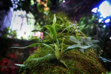 Тимур Кулибаев готов заплатить за проезд на чемпионат мира