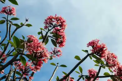 СамрукКазыне получит 25% акций Альянс банка в ближайшие три месяца