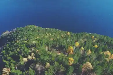 Главная ставка - Малиновская