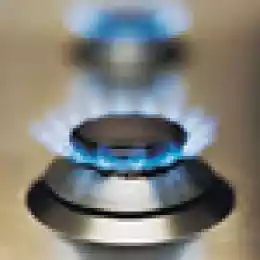 Мудрый Змей по прозвищу Жара