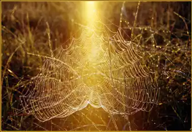 KAZNET в действии