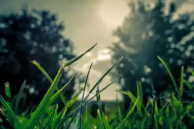 Закрылся самый популярный новостной сайт Азербайджана