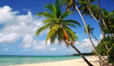 Отпуск им только снится