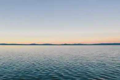 Убитому лидеру узбекских исламистов нашли замену