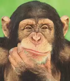 Мозговая биеннале