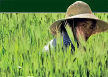 Смычка города и деревни