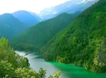 Кавказский капкан