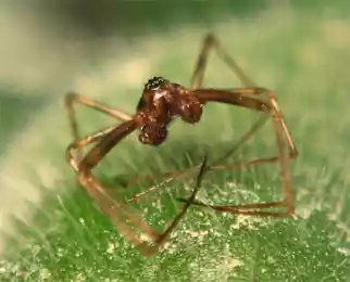 Аксакал самопознания