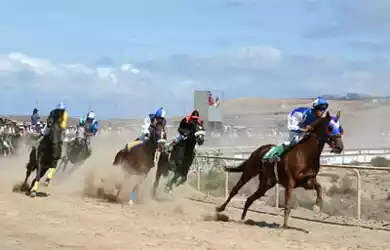 Доход из-под копыт