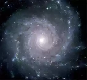 Глаза из орбит