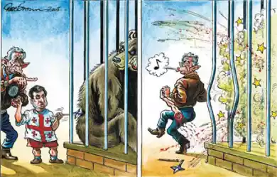 Миша и медведь