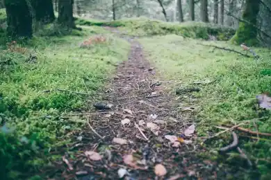 Боксеры побеждают