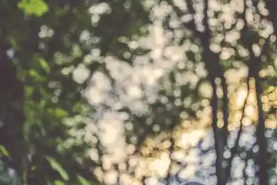 ЮАР официально присоединилась к БРИК