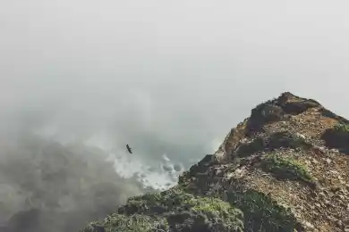 В Иране казнены двое участников массовых протестов