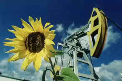 Нефтегазовые перспективы