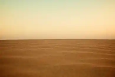 Казахские чекисты арестовали офицера финполиции