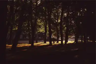 Наши – в космосе?