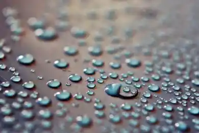 Домашний лед не помог рижскому "Динамо"