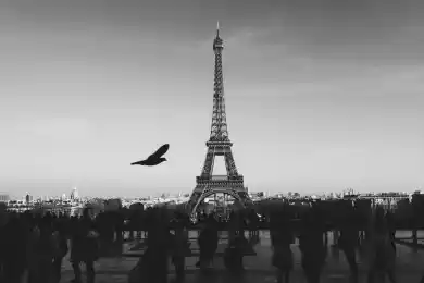 Тайваньские ученые разработали новую систему сверхскоростной беспроводной передачи данных