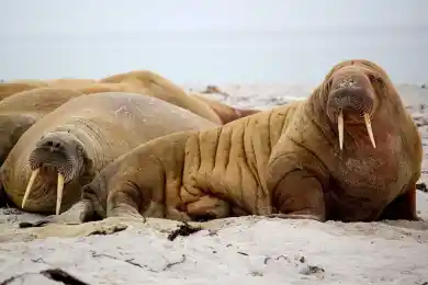 Названы лучшие книги XXI века