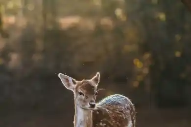 "Самрук-Казына" приобрел акции Народного банка