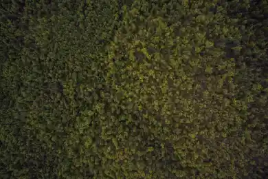 Казахстан увеличил экспорт рыбы и рыбной продукции