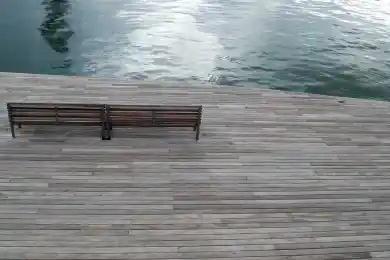 Ильяяяяяяяяяяяяяяяяяя Чееемпииииоооооооооон!!!!!!!!!!!!!!!!!!!!!!!!!!!!!!!!