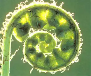 Природа отдыхает