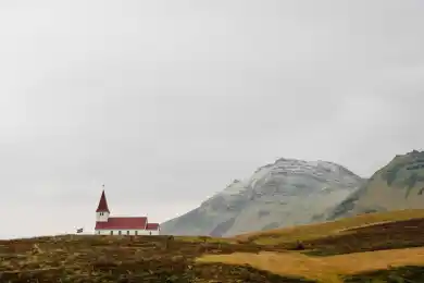 Жовтис приговорен к четырем годам тюрьмы