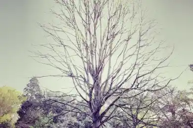 По ипотеке резко возросли объемы просрочки