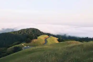 Германия отказалась от электронного голосования