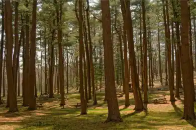 Мынбаев утверждает, что клиенты "Альянс Банка" не могут снять деньги со своих счетов