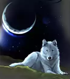 От Залмоксиса до Чингиз-хана