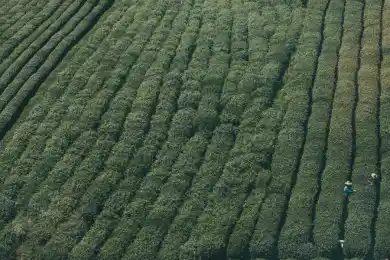 Назарбаев припомнил Путину спутник "KazSat"