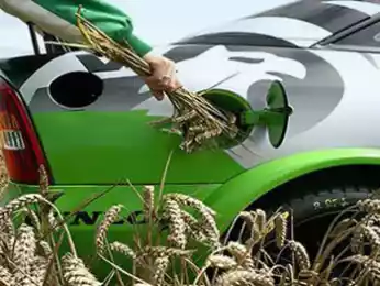 Секретный доклад