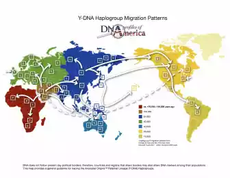 Миграция человечества