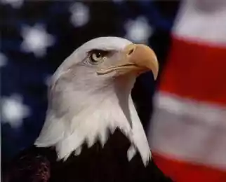 Кремлевские неоконы-реалисты