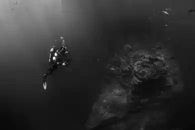 Участник выборов в Казахстане признался в лояльности Назарбаеву