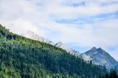 Кто стоит за терактами