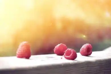 Казахстан и Россия договорились по вопросам железнодорожного транзита