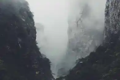 Меркель признала провал мультикультурной модели