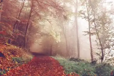 Бывшего министра обороны Киргизии приговорили к восьми годам тюрьмы