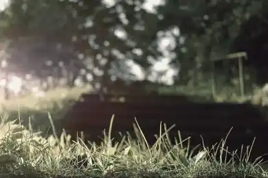 Россия и Китай формируют транспортные коридоры