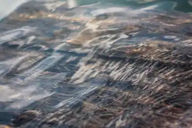 Назарбаев предложил ФРГ развернуть в республике производство автомобилей